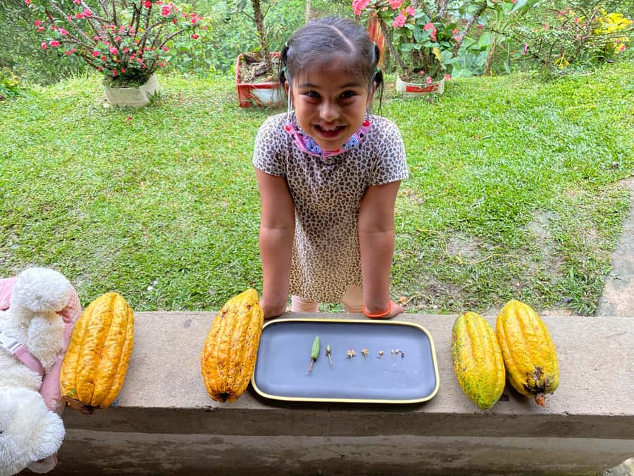 Chocolate tour near the Medellín - Practical clothing and health advice