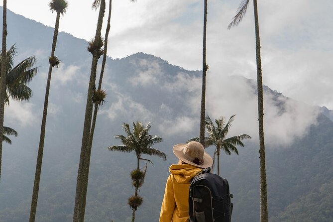 Cocora Valley and Salento Hike Tour - What the Cocora Valley walk is really like