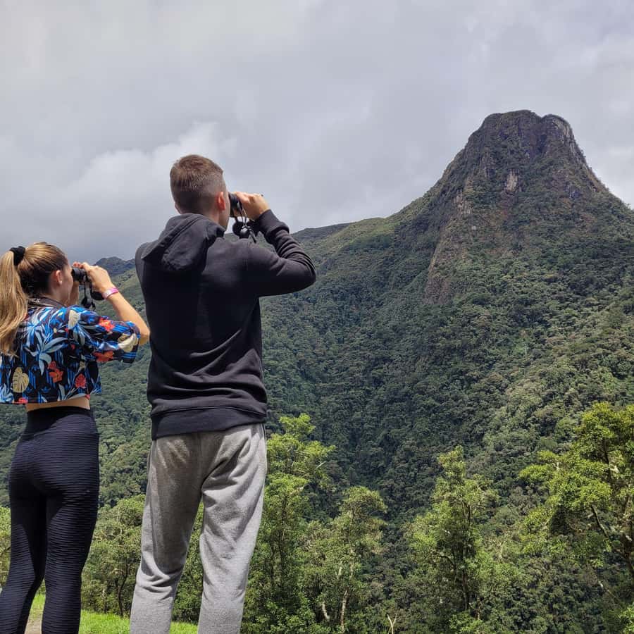 Cocora Valley: Route of the Hummingbirds + breakfast & lunch - Why this is not the usual Cocora Valley walk