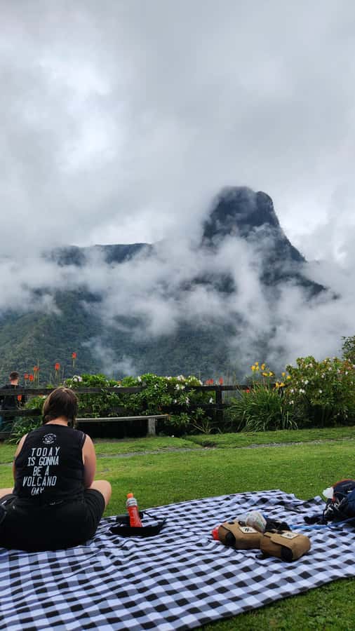 Cocora Valley: Route of the Hummingbirds + breakfast & lunch - The hummingbird house and close-range birding