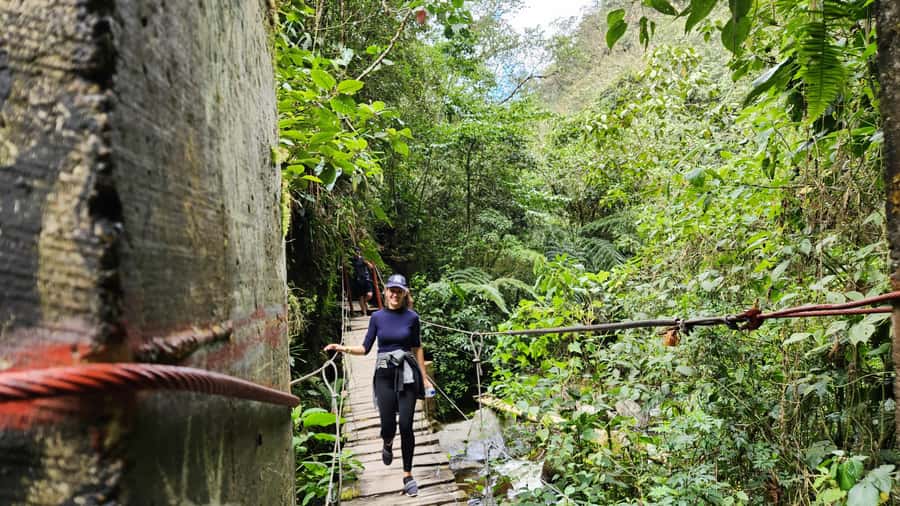 Cocora Valley: Route of the Hummingbirds + breakfast & lunch - Guides, group size, and the feel of the day