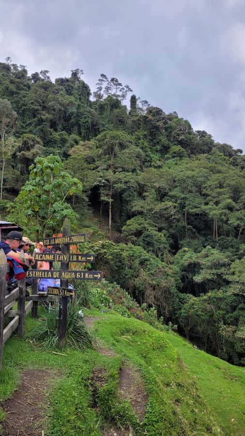 Cocora Valley: Route of the Hummingbirds + breakfast & lunch - Is $129 a fair price?