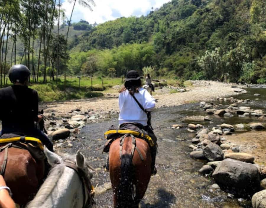 Cocora Valley: Salento & Private Horseback Riding Tour - Why this Salento and Cocora Valley combination works