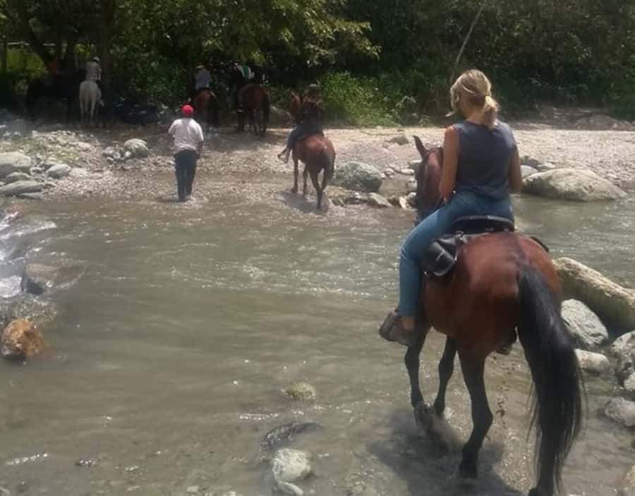 Cocora Valley: Salento & Private Horseback Riding Tour - Cocora Valley and its famous wax palms