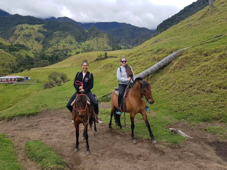 Cocora Valley: Salento & Private Horseback Riding Tour - Starting in Salento, where the riding begins