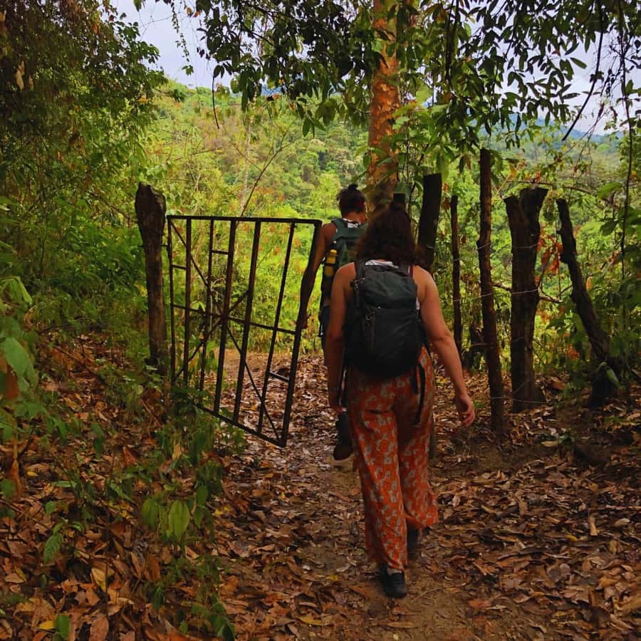 Coffee, Cocoa and Trekking Tour in Minca: Nature, Crops and Production - Key details that shape the experience