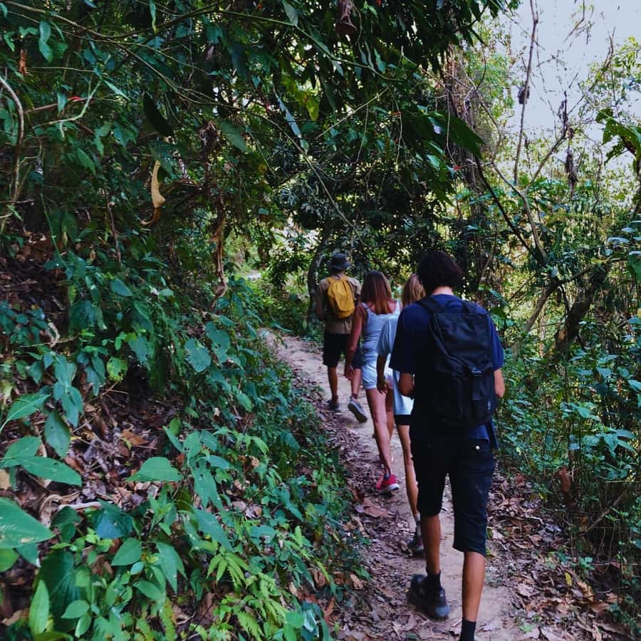 Coffee, Cocoa and Trekking Tour in Minca: Nature, Crops and Production - My verdict on the 4.7 rating
