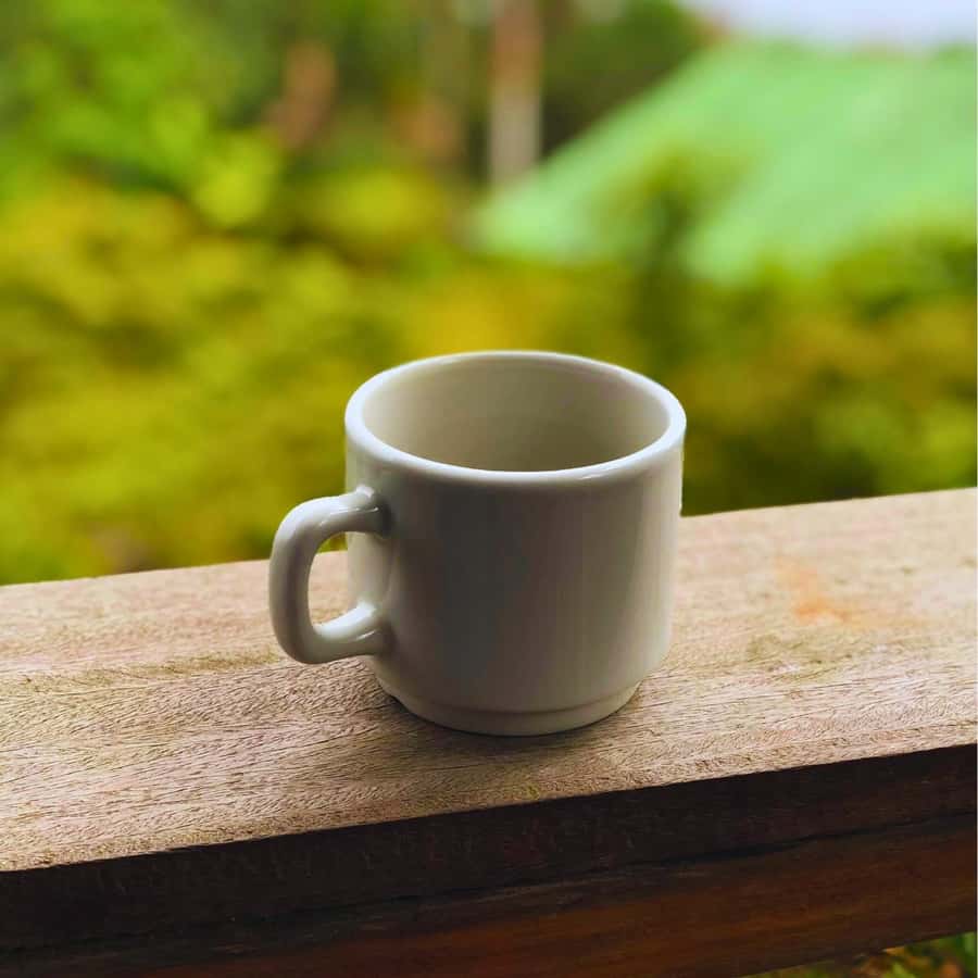 Coffee, Cocoa and Trekking Tour in Minca: Nature, Crops and Production - What the $41 price really covers