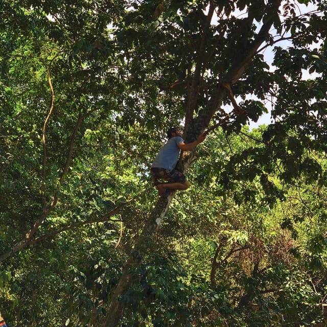Coffee, Cocoa and Trekking Tour in Minca: Nature, Crops and Production - Physical demands and what to pack