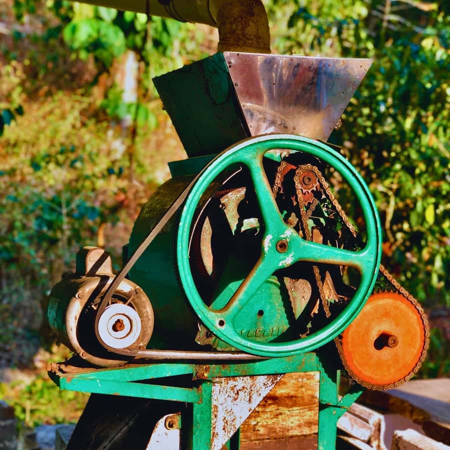 Coffee, Cocoa and Trekking Tour in Minca: Nature, Crops and Production - Who will enjoy this experience most