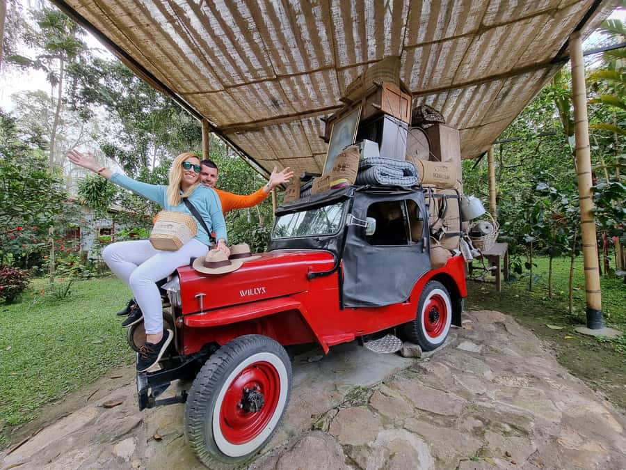 Coffee Experience: Hacienda Coloma Tour from Bogotá - Following coffee from seedbed to plantation