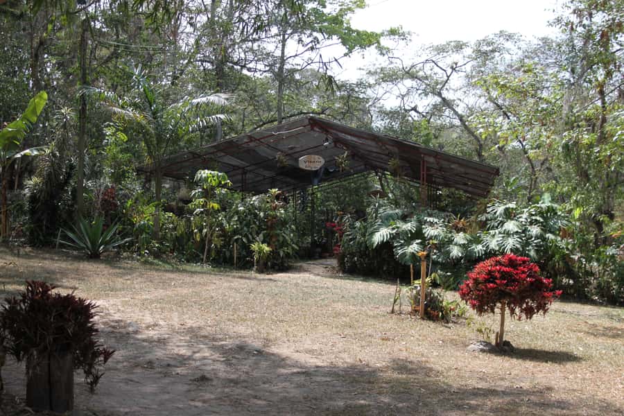 Coffee Experience: Hacienda Coloma Tour from Bogotá - San Miguel and the nursery gardens on the return