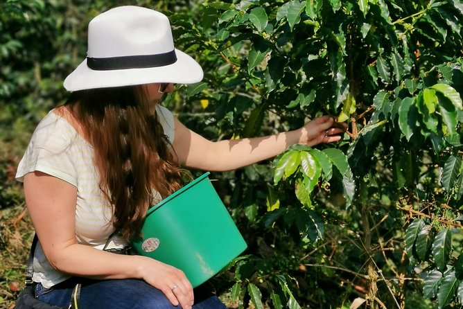 Coffee Farm & ATVs Private Tour in Medellin: Stunning Views & Fun - The best parts of the day at a glance
