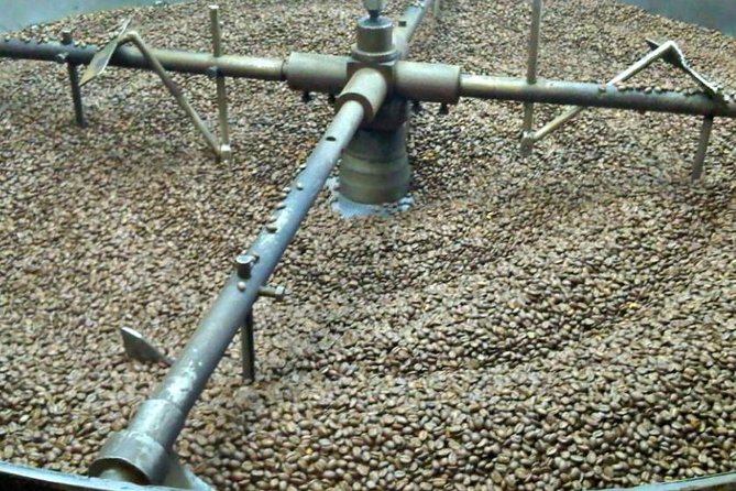 Coffee Farm Experience Private Day Tour - Why a coffee farm makes a good Bogotá day trip