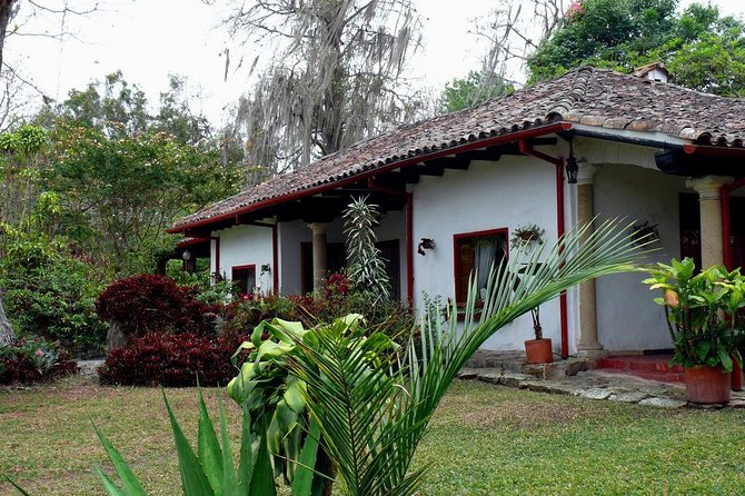Coffee Farm Experience Private Day Tour - Orchid gardens and the quieter side of the visit