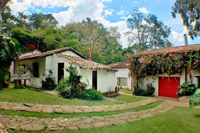 Coffee Farm Experience Private Day Tour - Optional lunch and local Colombian food