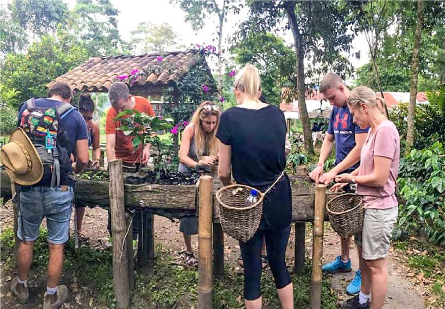 Coffee Farm Tour at Finca El Ocaso from Salento - Leaving Salento for Finca El Ocaso