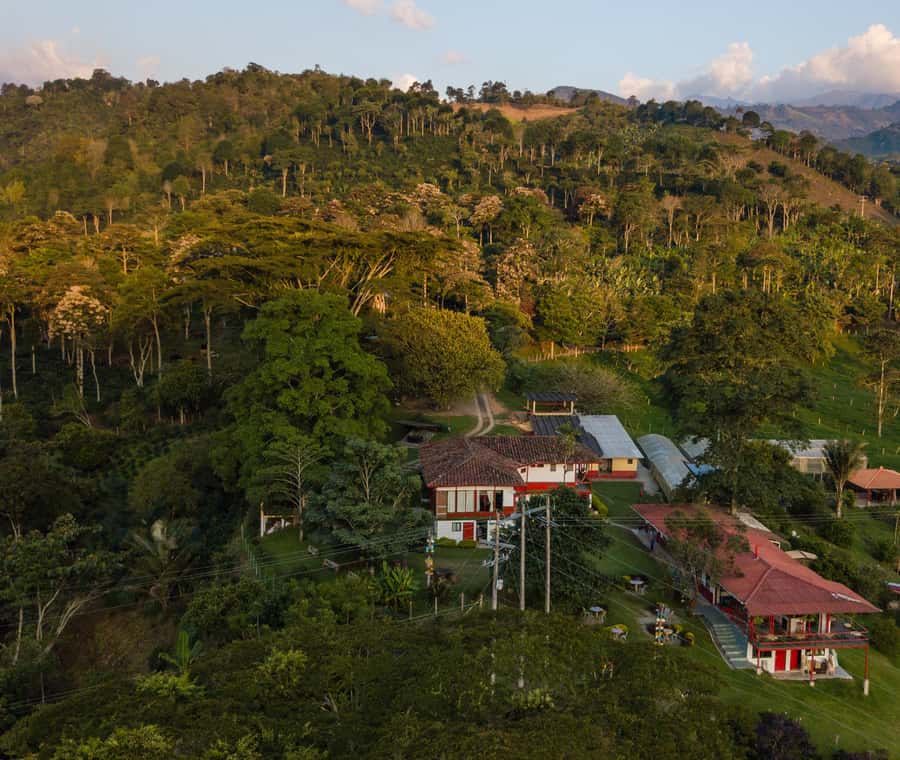 Coffee Farm Tour at Finca El Ocaso from Salento - The guided tasting and what it teaches you