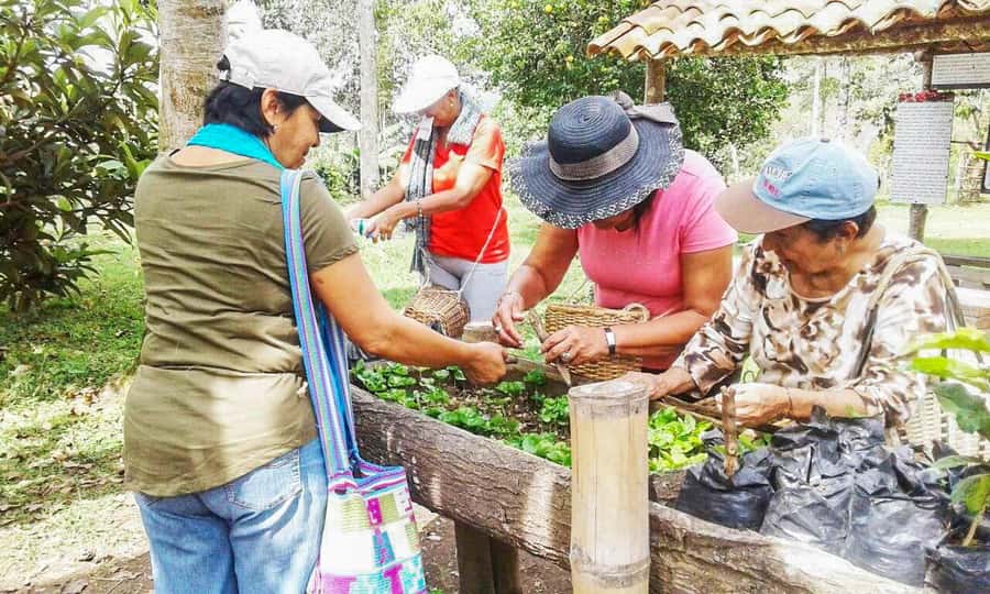 Coffee Farm Tour at Finca El Ocaso from Salento - Choosing the right departure time