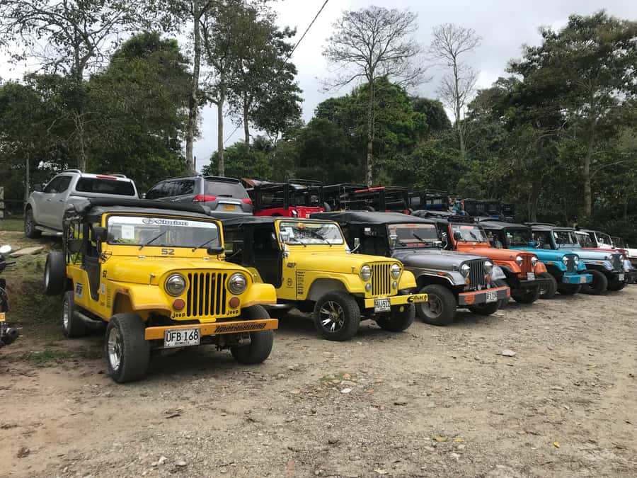 Coffee Farm Tour at Finca El Ocaso from Salento - Should you book Finca El Ocaso from Salento?