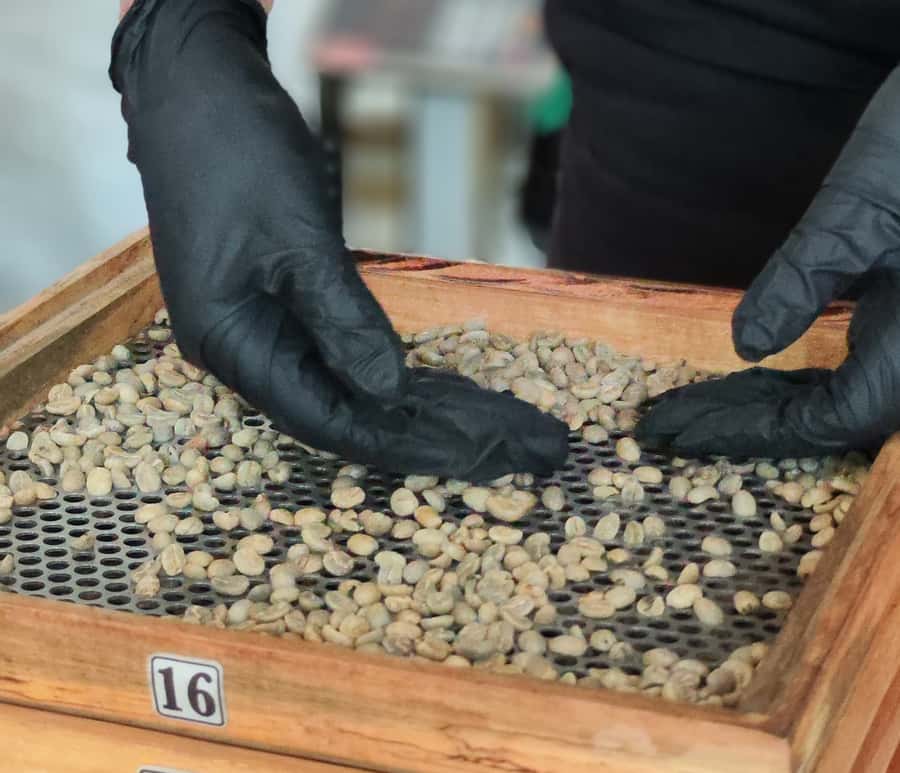 Coffee Tasting Experience in Cali - Why the Location Near Alameda Market Helps