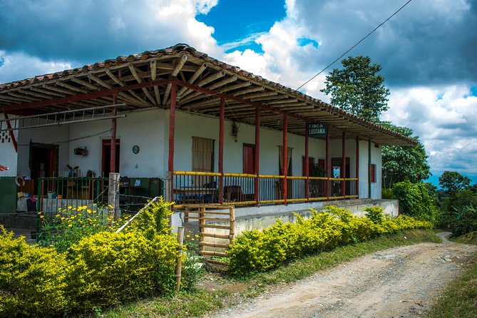 Coffee Tour. - Who will enjoy Recua Café Tour most