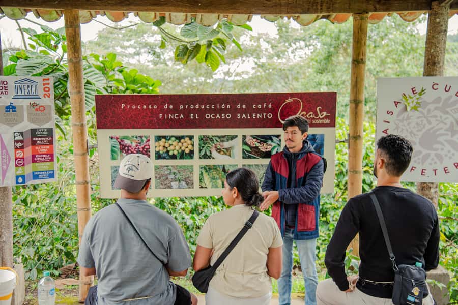 Coffee Tour at Finca El Ocaso Salento: Traditional Spanish Farm - Ending with a cloth strainer and coffee tasting