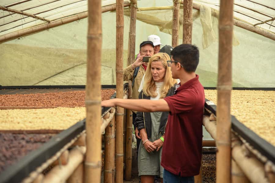 Coffee Tour at Finca El Ocaso Salento: Traditional Spanish Farm - What the guides add to the experience
