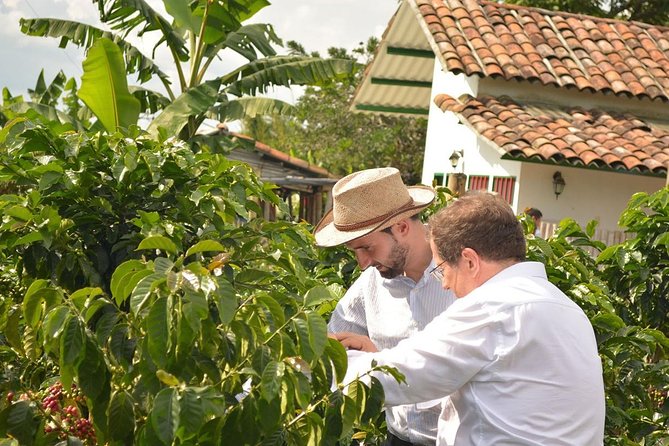 Coffee Tour at the Finca del Café - Arriving at Finca del Café near Santa Rosa de Cabal