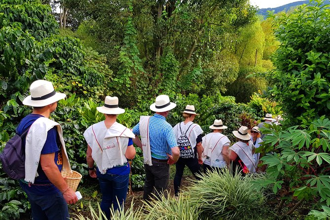 Coffee Tour at the Finca del Café - Who will enjoy this coffee tour most