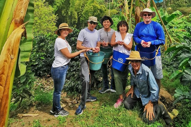 Coffee Tour in the Beautiful Jardin Town: Adventure in the Andes - The coffee farm: from picking to your first cup