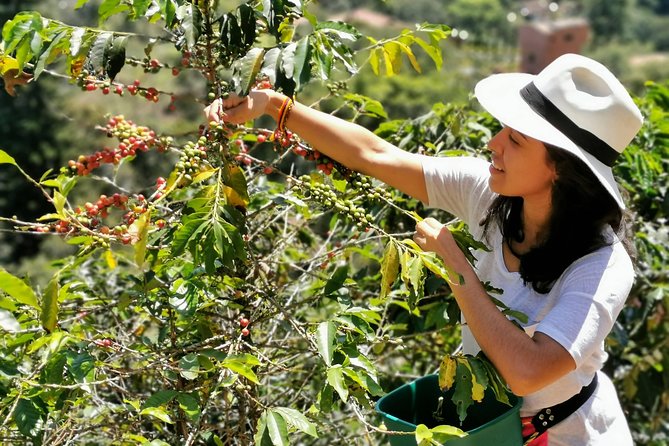 Coffee Tour in the Beautiful Jardin Town: Adventure in the Andes - Lunch on the farm, with no extra charge
