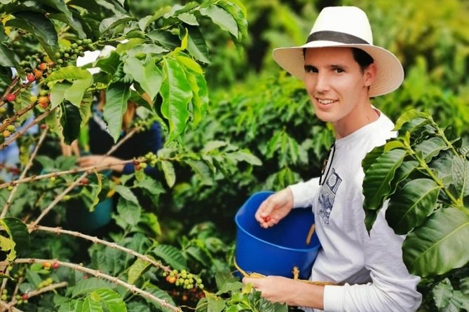 Coffee Tour in the Beautiful Jardin Town: Adventure in the Andes - Who should book this experience?