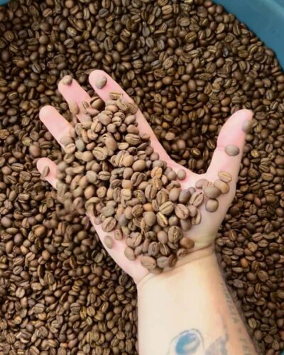 Coffee Tour Salento-Ocaso Farm- English Tour