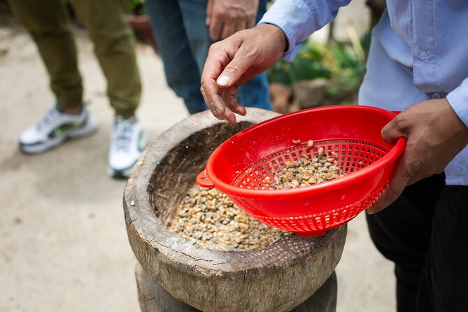 Coffee Tour with arrival on horseback and sugar cane processing - Should you book the Palmitas coffee experience?