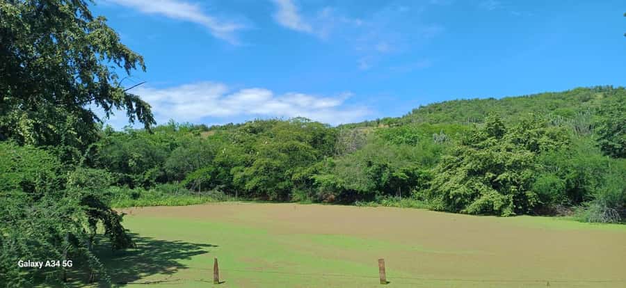 Community and Biodiversity Tour of the Tatacoa Neiva Desert - Cacti and wildlife in a private nature reserve