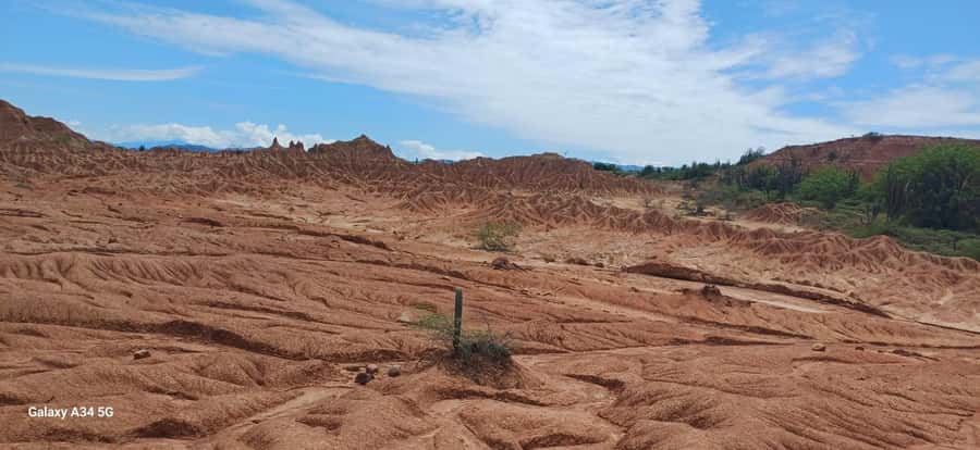 Community and Biodiversity Tour of the Tatacoa Neiva Desert - The Red Desert and iron-colored soil