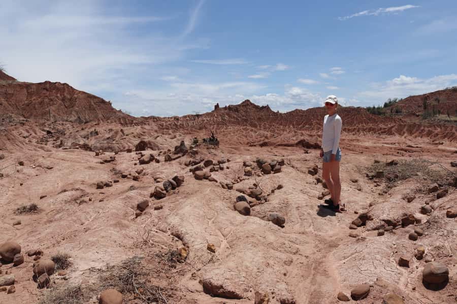 Community and Biodiversity Tour of the Tatacoa Neiva Desert - Leaving Neiva for Villavieja