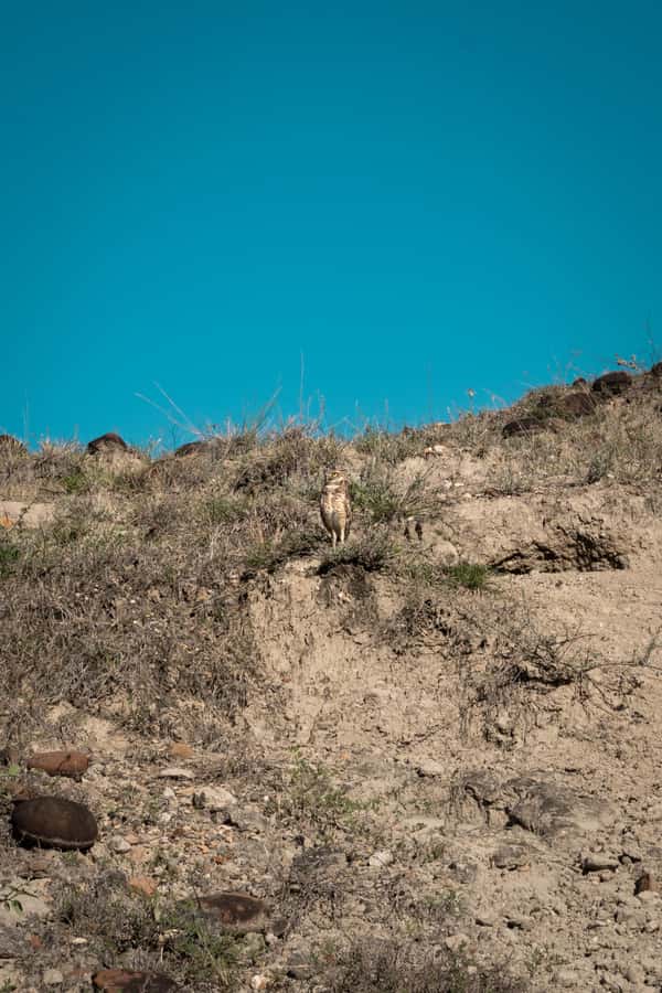 Community tour Biodiversity Latatacoa Desert Villavieja - Five details that shape the day