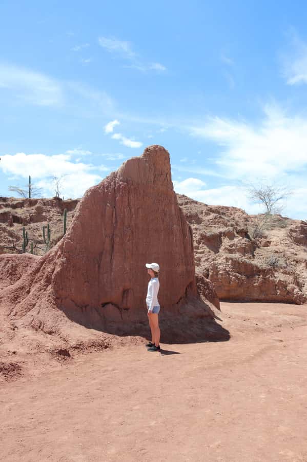 Community tour Biodiversity Latatacoa Desert Villavieja - Xilópalos Valley, fossils, and local knowledge