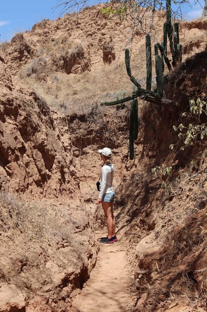 Community tour Biodiversity Latatacoa Desert Villavieja - Las Ventanas Mirador and the changing views