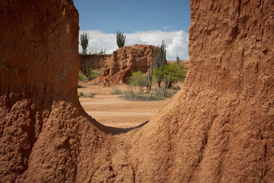 Community tour Biodiversity Latatacoa Desert Villavieja - Villavieja and the Megaterio in the plaza