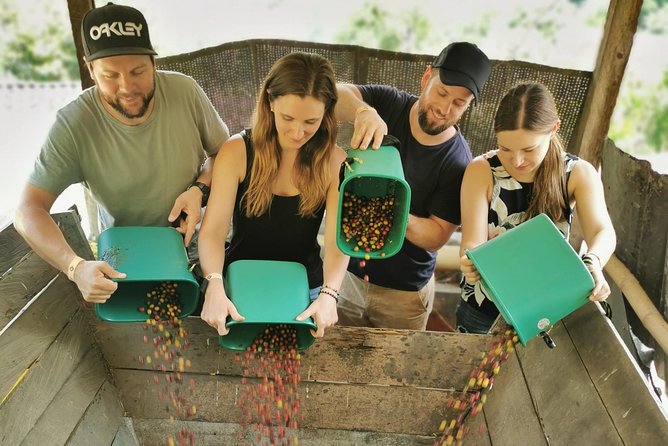 Comuna 13 & Coffee Farm Private Tour in Medellin | The Best Combo - Comuna 13: Art, Escalators, and a Changed Neighborhood