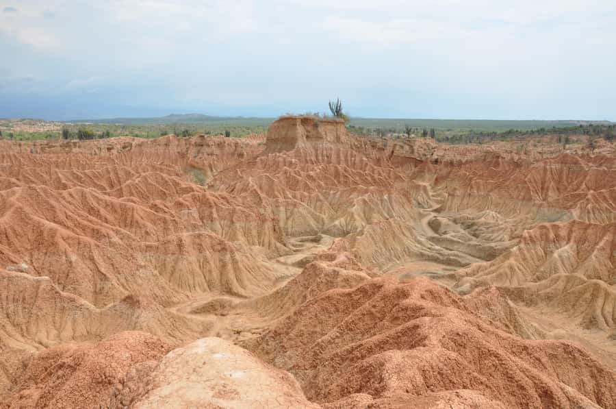 Day Trip to Tatacoa Desert (Horseback, Boat, Stargazing, ..) - Cruising the Magdalena River with a local fishing guide