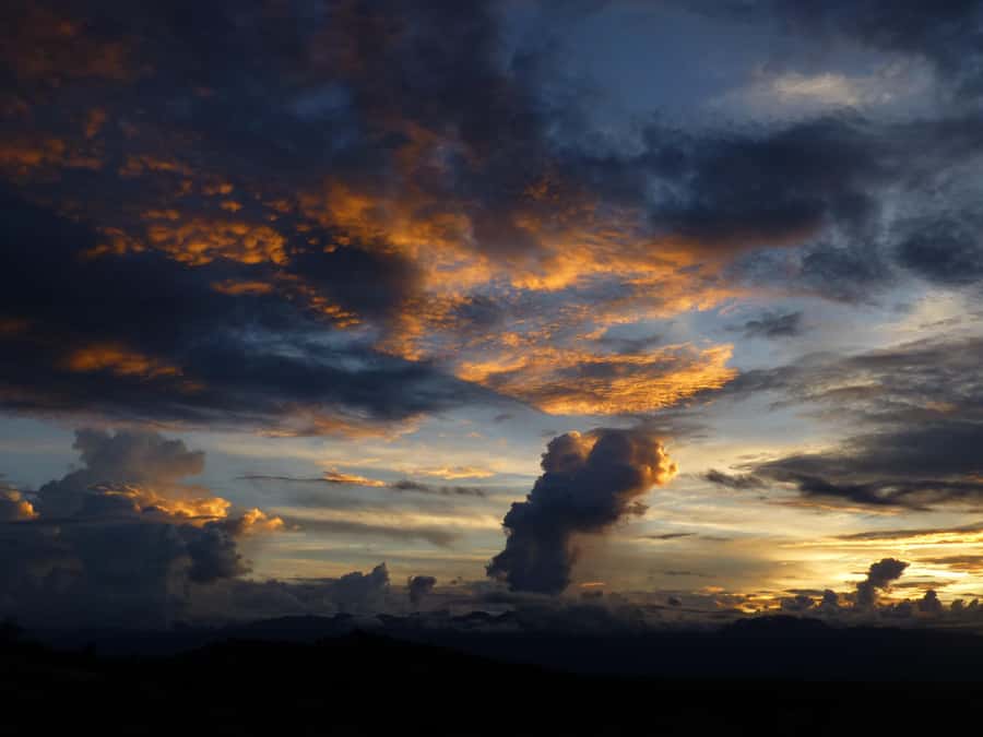 Day Trip to Tatacoa Desert (Horseback, Boat, Stargazing, ..) - Who will enjoy this day most?