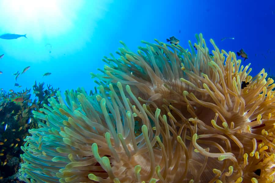 Diving Santa Marta & Tayrona for Certified Divers (2 tanks) - The ride toward Parque Tayrona