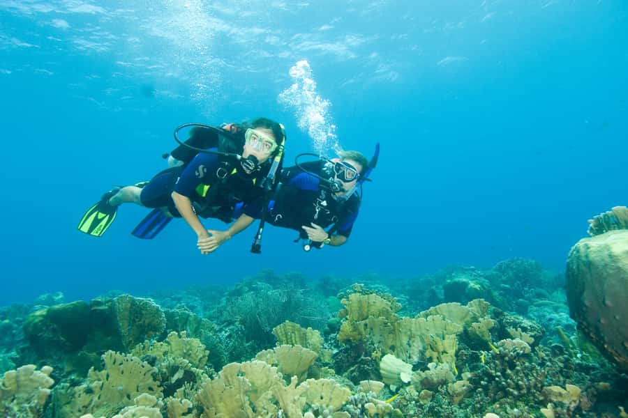 Diving Santa Marta & Tayrona for Certified Divers (2 tanks) - Equipment fit deserves special attention