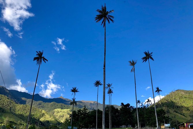Do it yourself 11 days tour in Colombia (customizable) - Why this Colombia route works