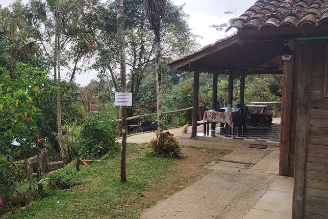 Easy Birdwatching in Cali Colombia (4 Hours) - A short farm stop with baby goats
