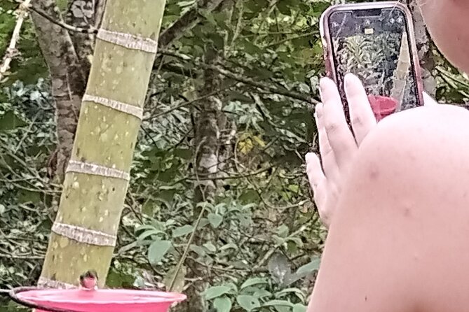 Easy Birdwatching in Cali Colombia (4 Hours) - What the $94.99 price covers